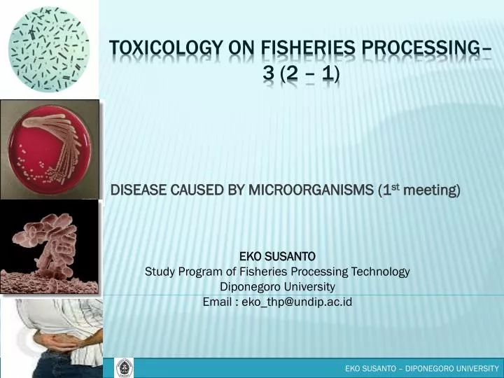 disease caused by microorganisms 1 st meeting