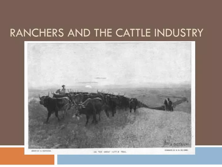 ranchers and the cattle industry