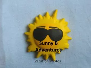 Sunny B Adventures