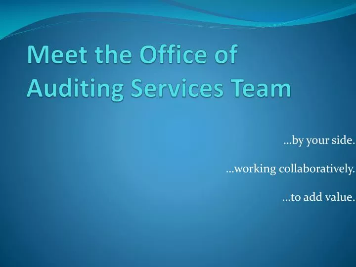 meet the office of auditing services team