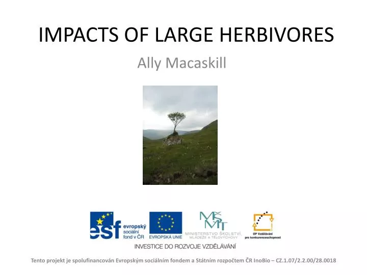 impacts of large herbivores