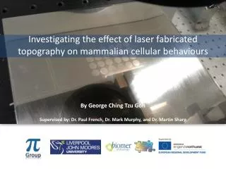 Investigating the effect of laser fabricated topography on mammalian cellular behaviours