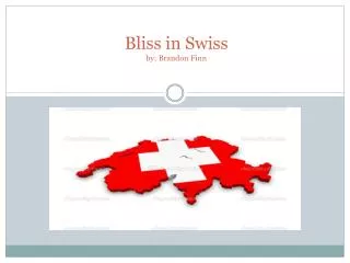 Bliss in Swiss by: Brandon Finn