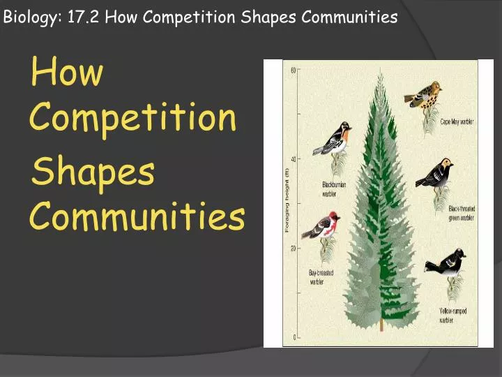 biology 17 2 how competition shapes communities