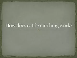 How does cattle ranching work?