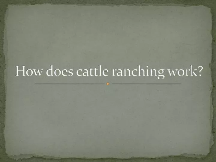 how does cattle ranching work