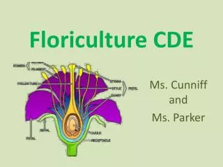 Floriculture CDE