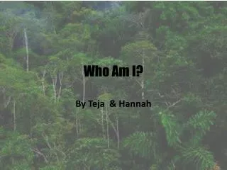 Who Am I?