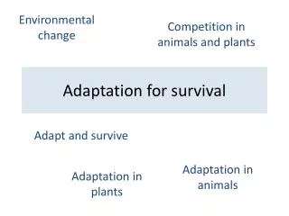 adaptation for survival
