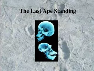 The Last Ape Standing