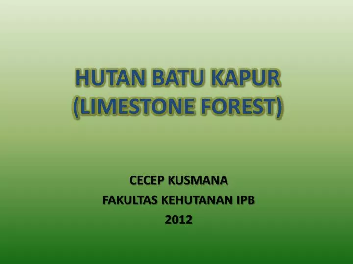 hutan batu kapur limestone forest