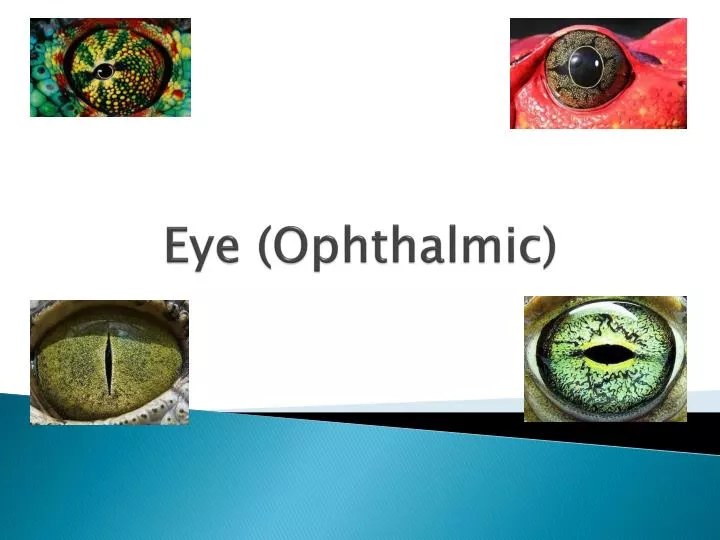 eye ophthalmic