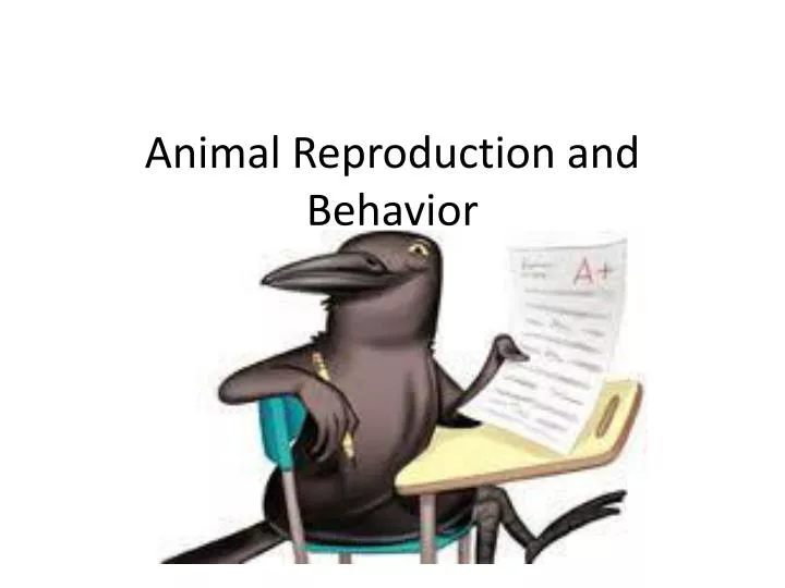 animal reproduction and behavior