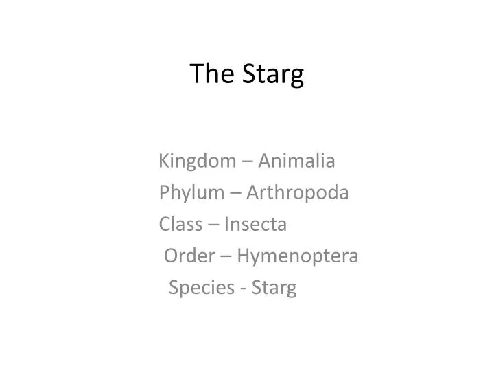 the starg