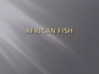 African Fish
