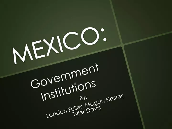 government institutions