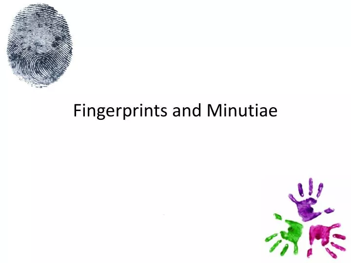 fingerprints and minutiae