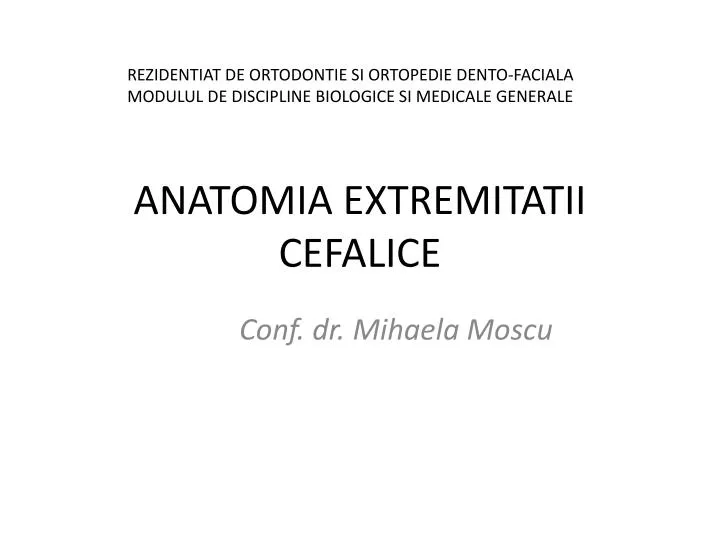 anatomia extremitatii cefalice