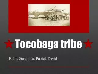 Tocobaga tribe