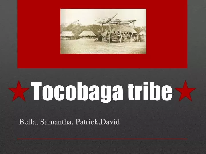 tocobaga tribe