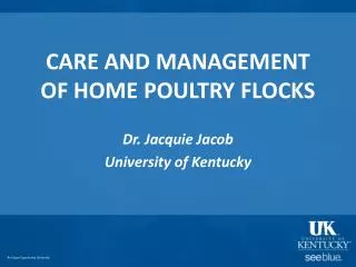 CARE AND MANAGEMENT OF HOME POULTRY FLOCKS