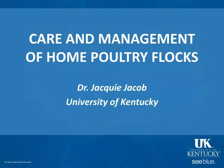care and management of home poultry flocks