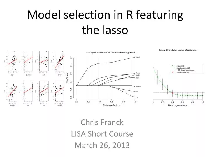 model selection in r featuring the lasso