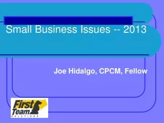 Small Business Issues -- 2013