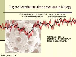 Layered continuous time processes in biology