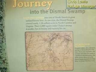 Great Dismal Swamp National Wildlife Refuge