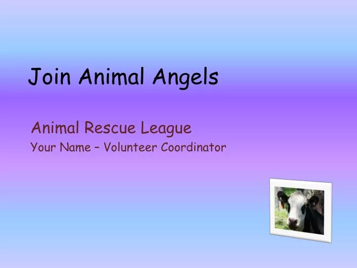 join animal angels