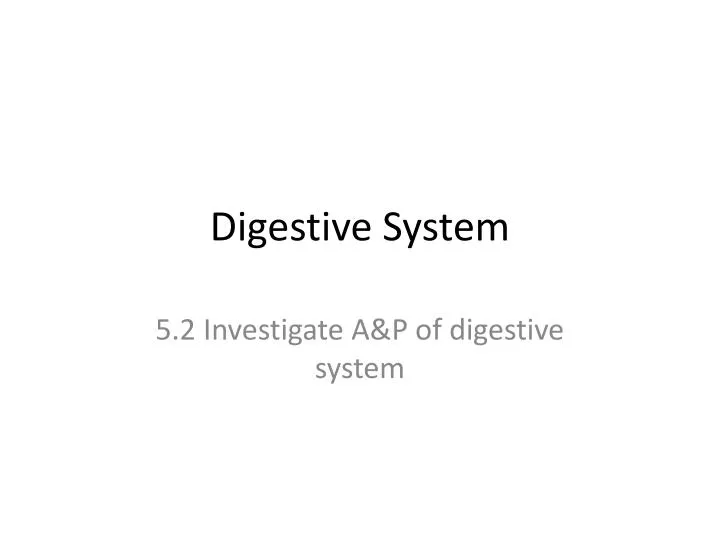 digestive system