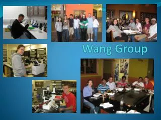 Wang Group