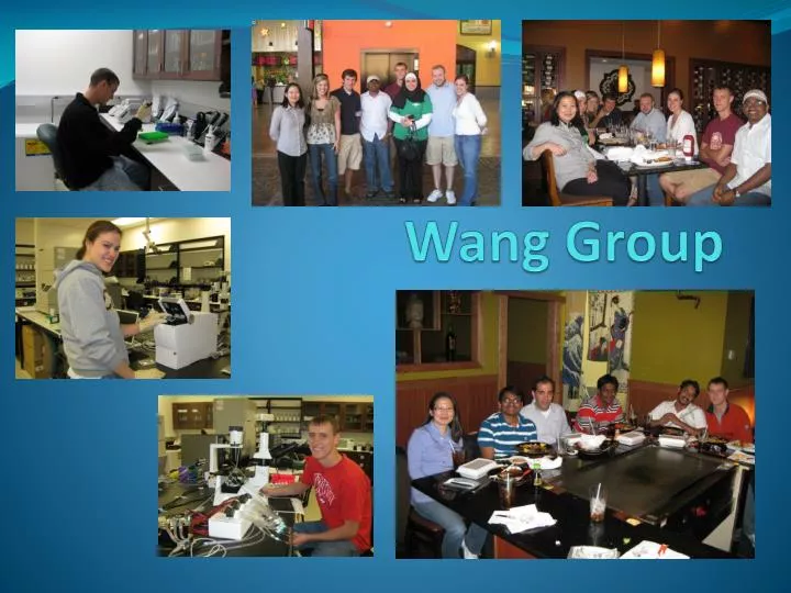 wang group