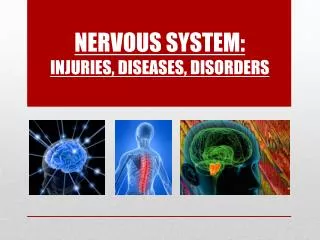 Nervous System: Injuries , Diseases, Disorders