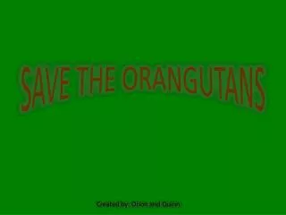 SAVE THE ORANGUTANS