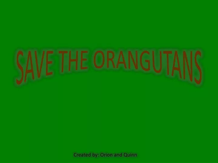 save the orangutans