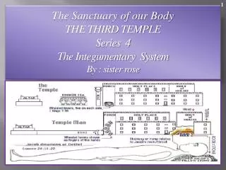 The Sanctuary of our Body THE THIRD TEMPLE Series 4 The Integumentary System By : sister rose
