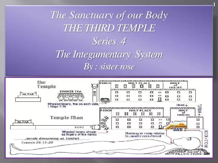 the sanctuary of our body the third temple series 4 the integumentary system by sister rose