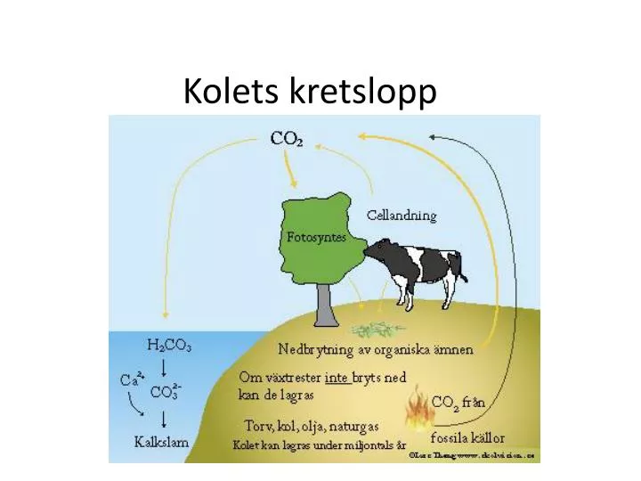 kolets kretslopp