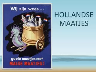 HOLLANDSE MAATJES