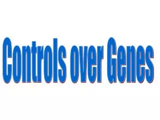 Controls over Genes