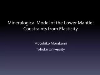 Mineralogical Model of the Lower Mantle: Constraints from Elasticity