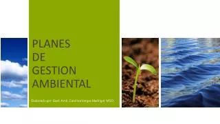 planes de gestion ambiental
