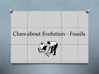 Clues about Evolution - Fossils