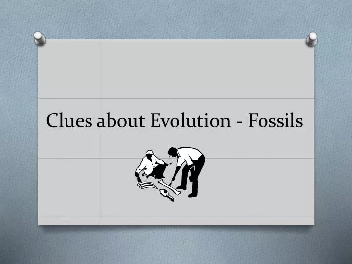 clues about evolution fossils