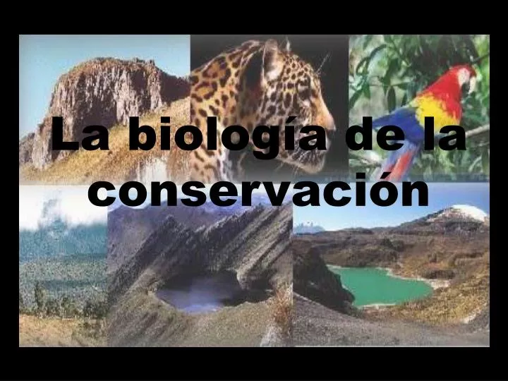 la biolog a de la conservaci n