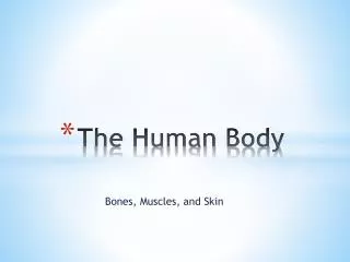 The Human Body