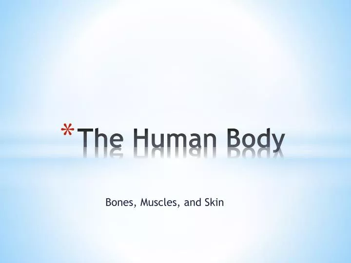 the human body