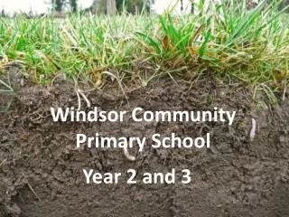Windsor Community Primary School